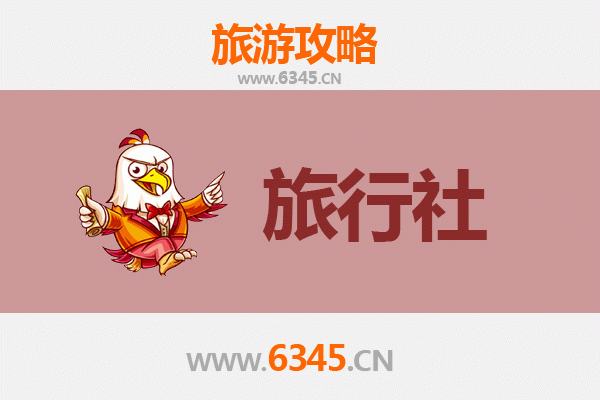 乌海海南本地旅行社推荐与深度游玩攻略
